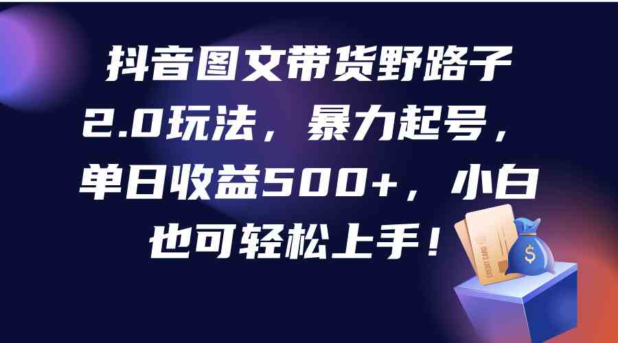 （9790期）抖音图文带货野路子2.0玩法，暴力起号，单日收益500+，小白也可轻松上手！-北向