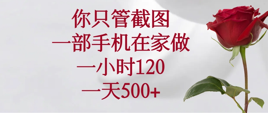 （14248期）你只管截图，一部手机在家做，一小时120，一天500+-北向