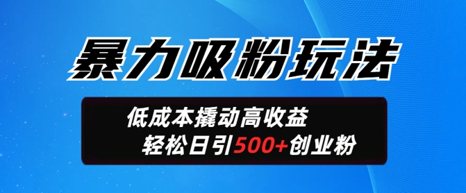 暴力吸粉玩法，日引500+精准创业粉，日变现轻松多张-北向