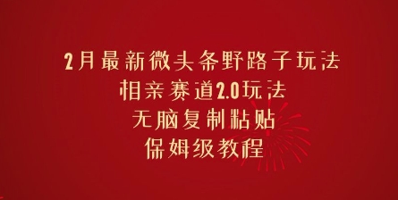 2月最新微头条野路子玩法，相亲赛道2.0玩法，无脑复制粘贴，保姆级教程-北向