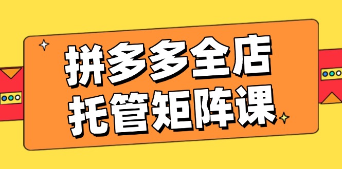 （14328期）拼多多全店托管矩阵课，盈利动销玩法，高效计划设置，提升店铺效益-北向