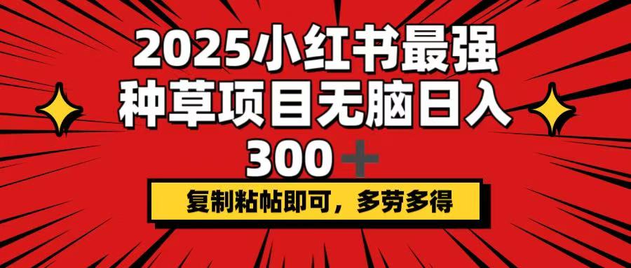 （14375期）2025小红书最强种草项目，无脑日入300+，复制粘帖即可，多劳多得-北向