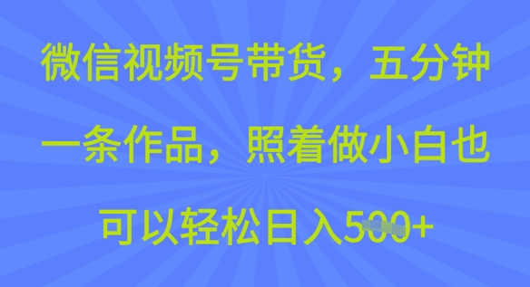 微信视频号带货，五分钟一条作品，照着做小白也可以轻松日入5张-北向