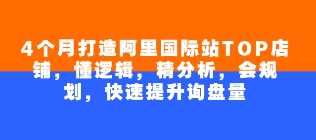 4个月打造阿里国际站TOP店铺，懂逻辑，精分析，会规划，快速提升询盘量-北向