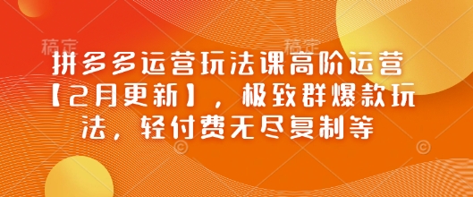 拼多多运营玩法课高阶运营【2月更新】，极致群爆款玩法，轻付费无尽复制等-北向