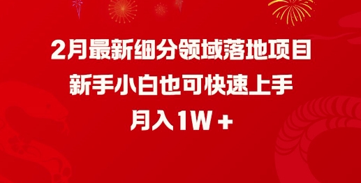 2月最新细分领域落地项目，新手小白也可快速上手，月入1W-北向