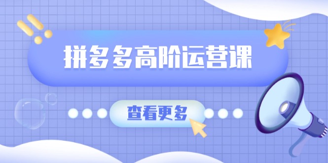 （14327期）拼多多高阶运营课：极致群爆款玩法，轻付费无尽复制，打造单品爆款之路-北向