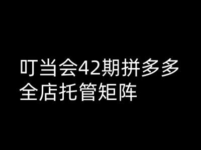 叮当会拼多多打爆班原创高阶技术第42期，拼多多全店托管矩阵-北向